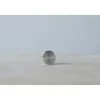 Acaia Calibration Weight 100 g