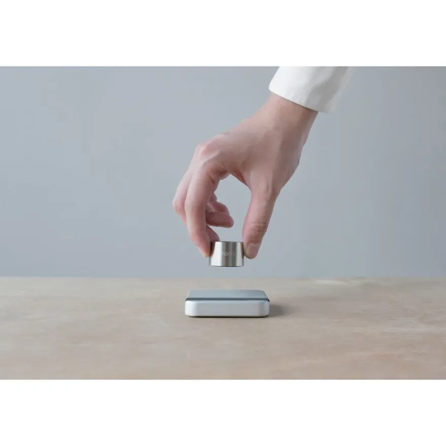 Acaia Calibration Weight 100 g