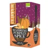Clipper Warming Pumpkin Spice Organic Infusion 20 teepussia