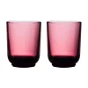 Fellow Pirch lattelasit 2 x 325 ml