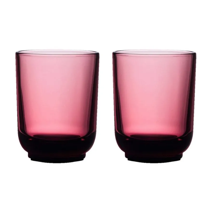 Fellow Pirch lattelasit 2 x 325 ml