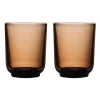 Fellow Pirch lattelasit 2 x 325 ml