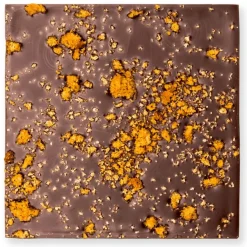 Goodio Gingerbread luomu-suklaa 50%, 48 g