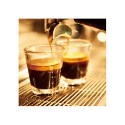 Hario Espresso Shot Glass espressolasi 80 ml