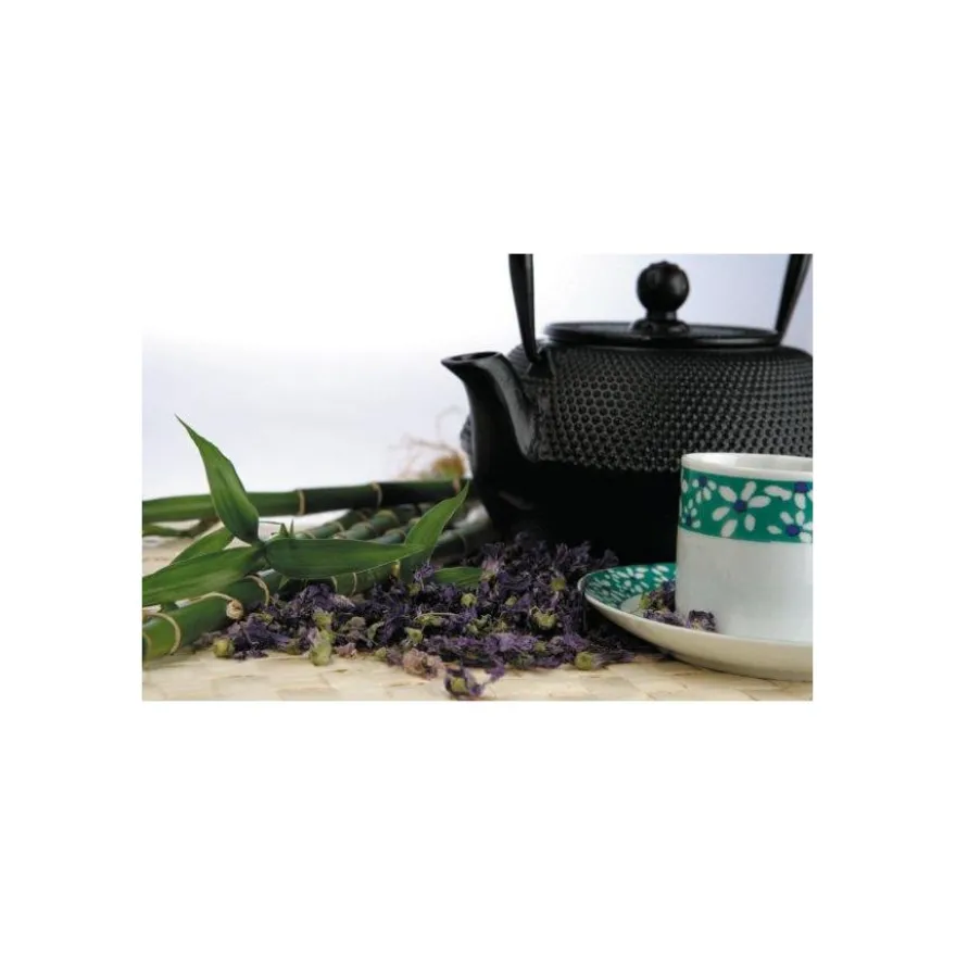 Ibili valurautainen teepannu 700 ml