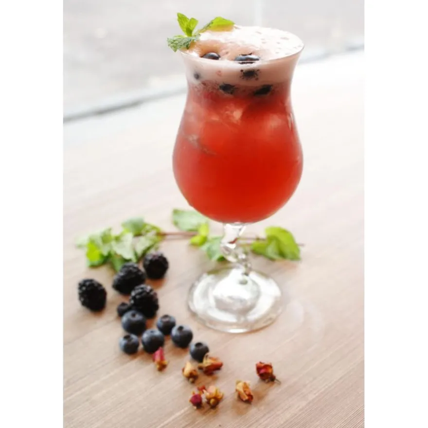 Maison Routin 1883 Blueberry makusiirappi 1000 ml
