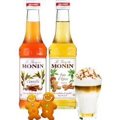 Monin Gingerbread + Monin Cinnamon makusiirapit 250 ml