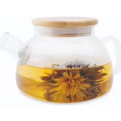 Shamila Simplicity lasinen teepannu 680 ml